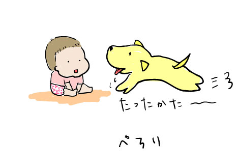 【生後7ヶ月】犬と赤ちゃん
